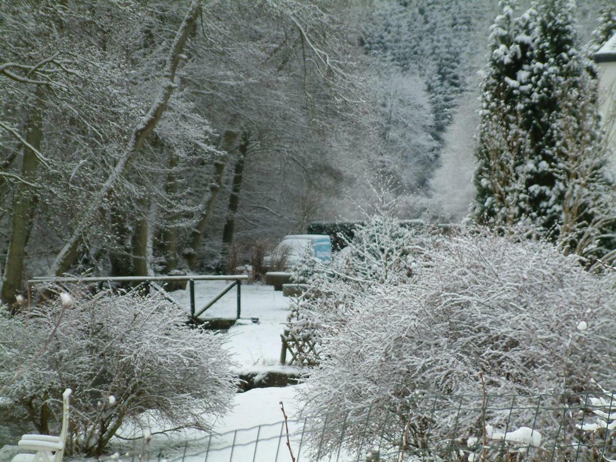 Grande Strument La-Roche-en-Ardenne Kültér fotó